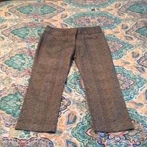 Express Capri dress pants